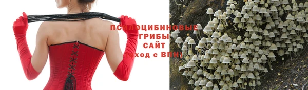 тгк Краснослободск
