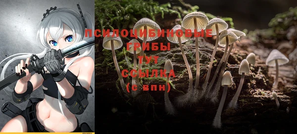 бутират Красноперекопск