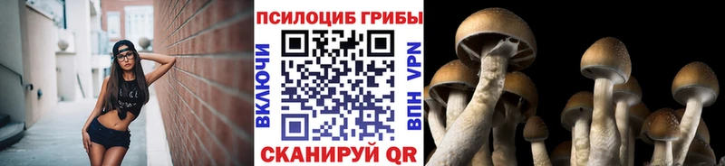 Псилоцибиновые грибы GOLDEN TEACHER  Голицыно 